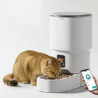 New 4L Smart Pet Feeder Automatic Food Dispenser Button for Cats And Dogs Intelligent Pet Feeder
