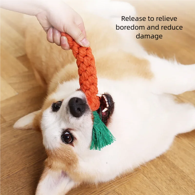 Bite-Resistant Dog Chew Toy for Small Dogs1Pc set