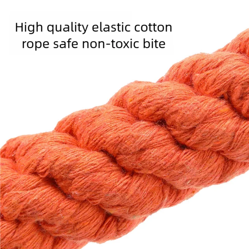 Bite-Resistant Dog Chew Toy for Small Dogs1Pc set