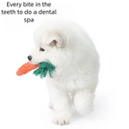 Bite-Resistant Dog Chew Toy for Small Dogs1Pc set